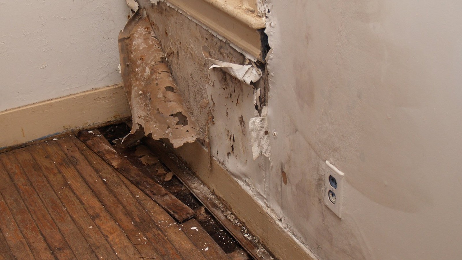 Interior wall and baseboard damaged by water from a hidden leak